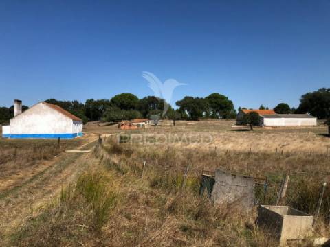 Terreno de 7ha, grândola, área de construção 229m2