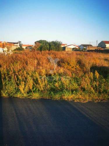 Terreno junto á ria na gafanha da encarnação