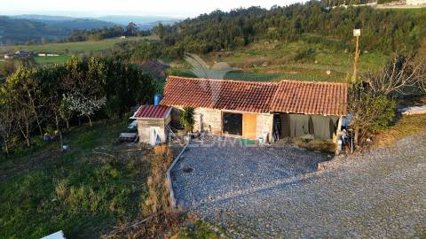 Terreno rustico com alpendre em penacova - felgueiras