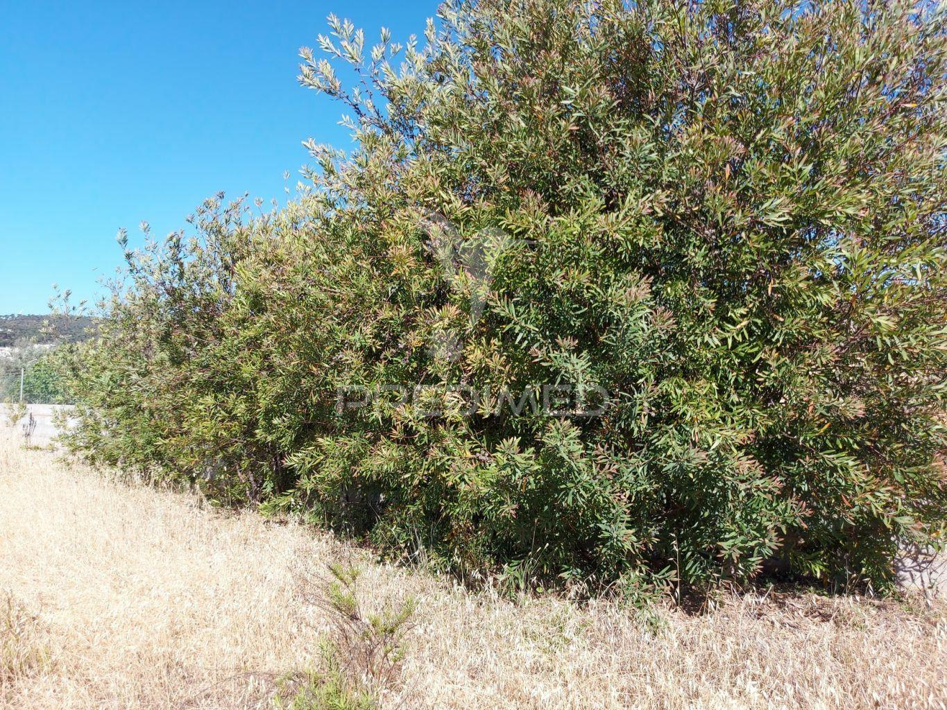 Terreno 14km de lagos 3330m2 totalmente delimitado com muro