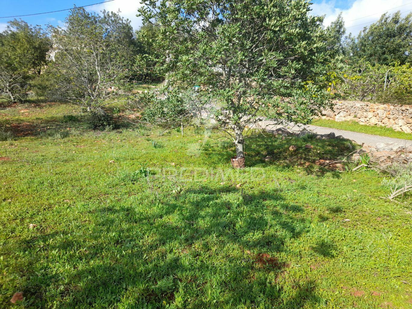 Terreno com projeto pata 9 moradias v3,localizado em funchais da tor