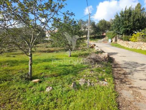 Terreno com projeto pata 9 moradias v3,localizado em funchais da tor