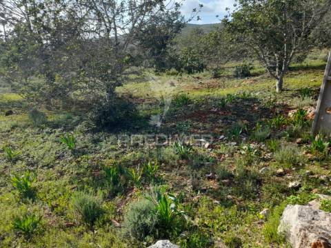 Terreno com projeto pata 9 moradias v3,localizado em funchais da tor