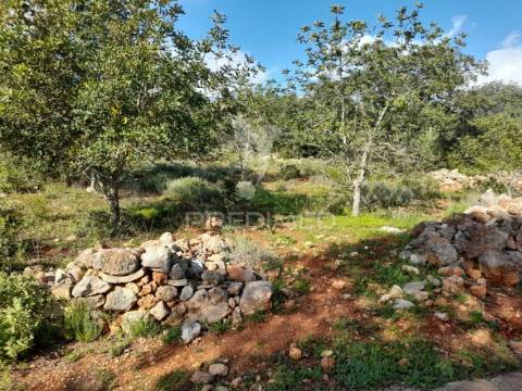 Terreno com projeto pata 9 moradias v3,localizado em funchais da tor