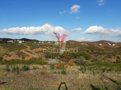 Terreno - estorninho - tavira!