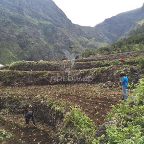 Terreno rústico 2.229m2 com 3 palheiros para recuperação