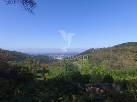 Terreno com ruina com vista sobre monchique