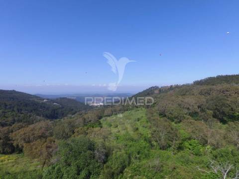 Terreno com ruina com vista sobre monchique