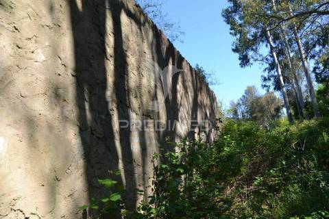 Terreno com ruina com vista sobre monchique