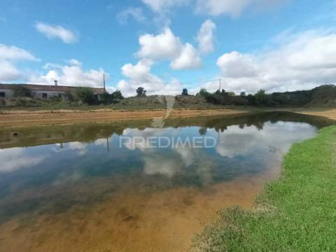 Herdade com casa rustica