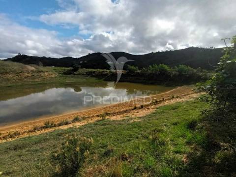 Herdade com casa rustica