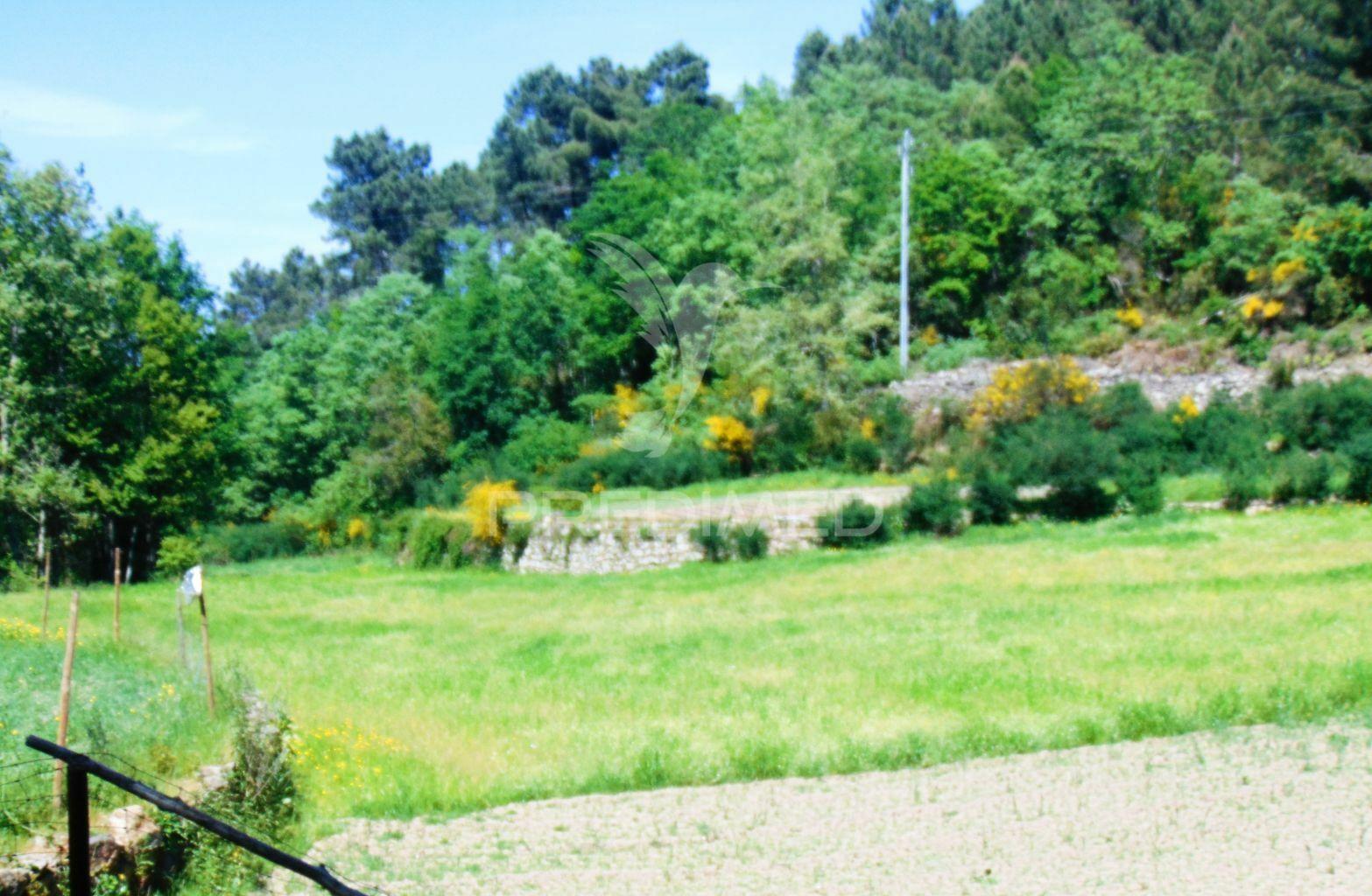 Terreno agrícola c/1,8 ha a 6 kms do centro de vila real 