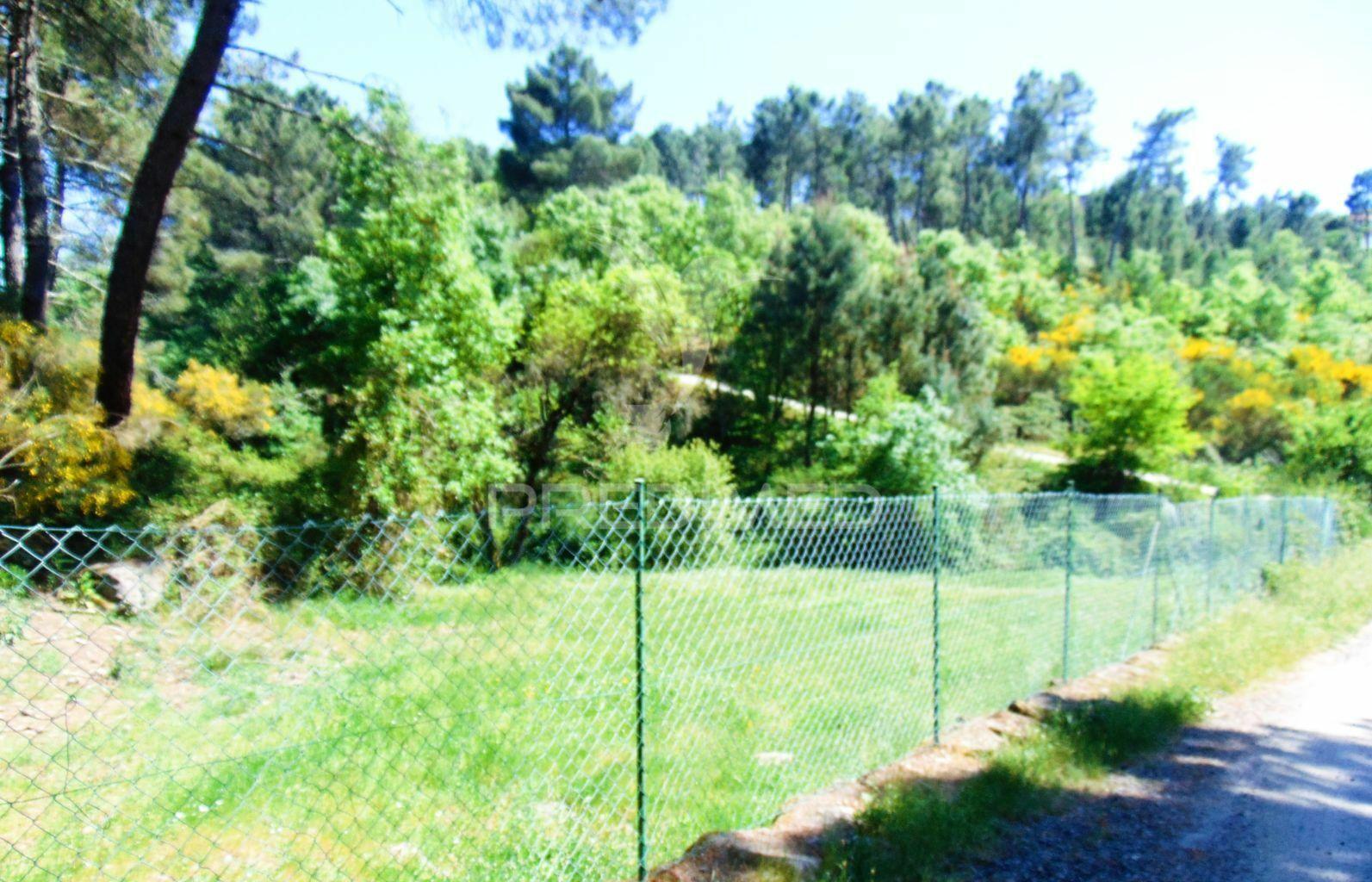 Terreno agrícola c/1,8 ha a 6 kms do centro de vila real 