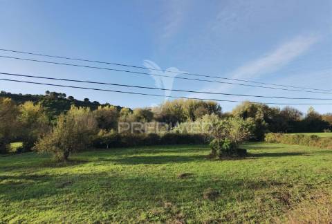 Terreno rústico com poço arneiro das milhariças