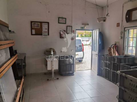 Moradia t4 com garagem e anexos - alcanhões / santarém