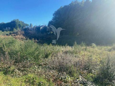 Lote terreno em viseu