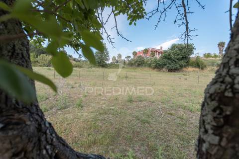 Quinta rural- santarém