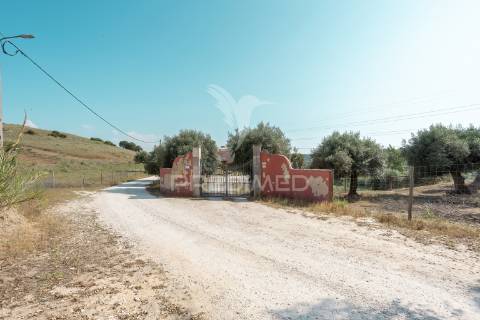 Quinta rural- santarém