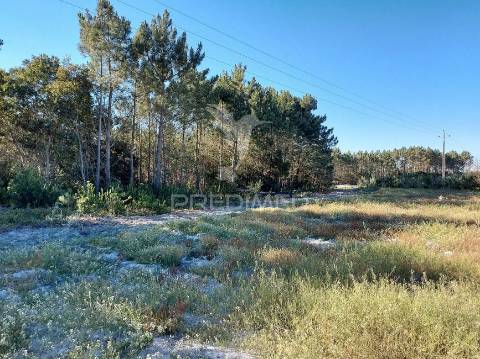 Terreno rustico 14280m2 na região de aljezur algarve