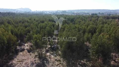 Lote de terreno em palmela