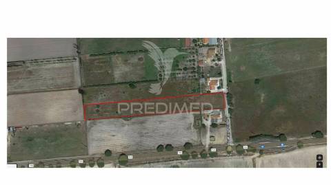 Terreno com viabilidade de construção até 500 m2 - montijo