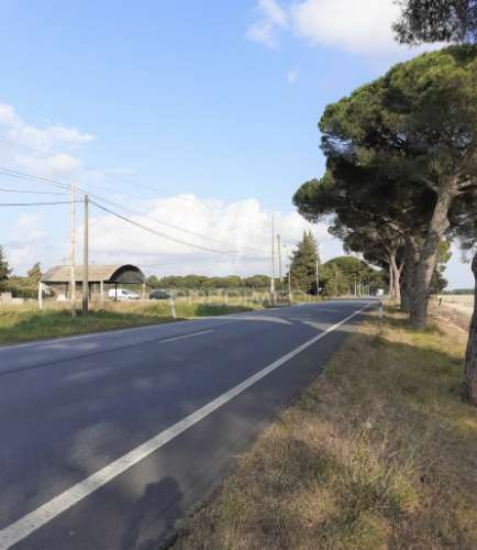 Terreno com viabilidade de construção até 500 m2 - montijo