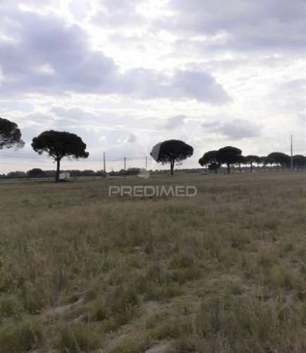 Terreno com viabilidade de construção até 500 m2 - montijo