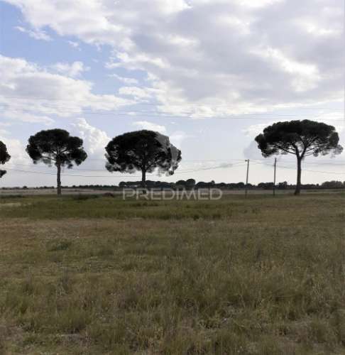 Terreno com viabilidade de construção até 500 m2 - montijo