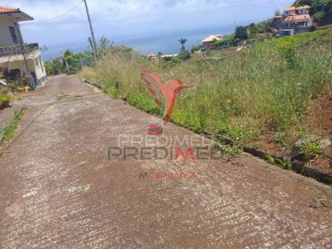 Terreno  com 5410m2, em são jorge, ilha da madeira