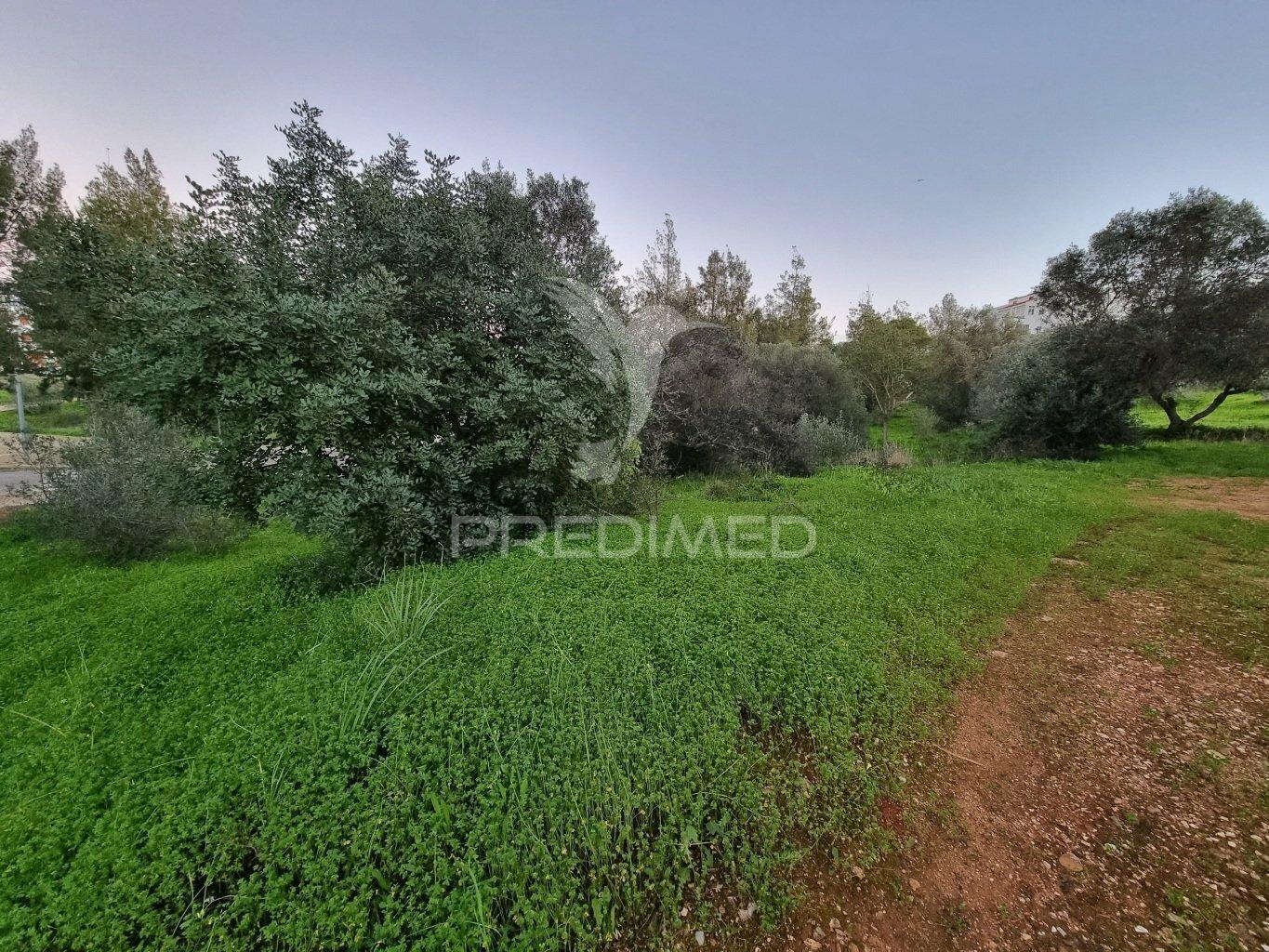 Terreno urbano para construção de moradia com projecto aprovado