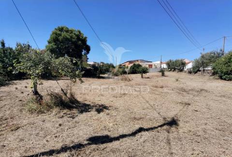 Moradia com terreno, arneiro de tremês / santarém