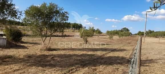 Terreno frente nacional 4. perto de montemor-o-novo