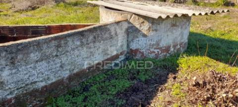 Terreno frente nacional 4. perto de montemor-o-novo