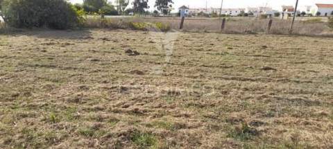Terreno frente nacional 4. perto de montemor-o-novo