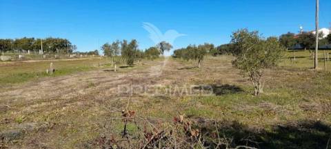 Terreno frente nacional 4. perto de montemor-o-novo