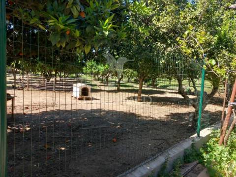 Quinta t2 em pardais - vila viçosa