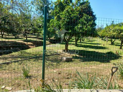 Quinta t2 em pardais - vila viçosa