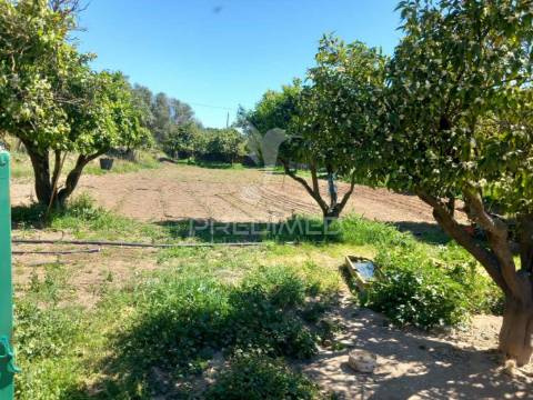 Quinta t2 em pardais - vila viçosa