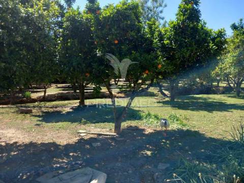 Quinta t2 em pardais - vila viçosa