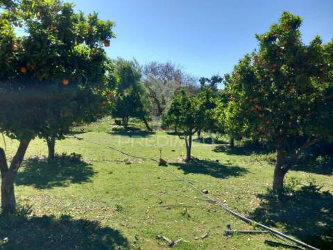 Quinta t2 em pardais - vila viçosa