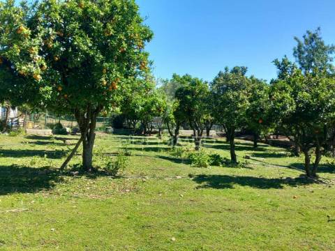 Quinta t2 em pardais - vila viçosa