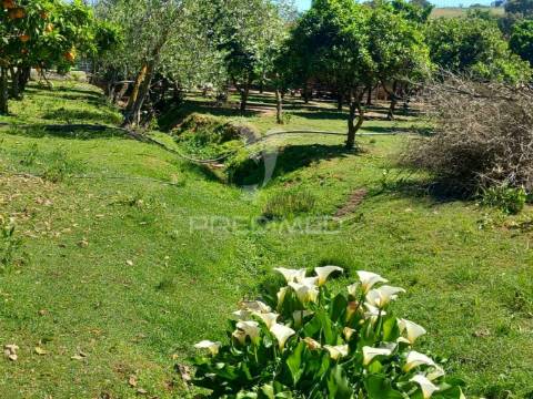 Quinta t2 em pardais - vila viçosa