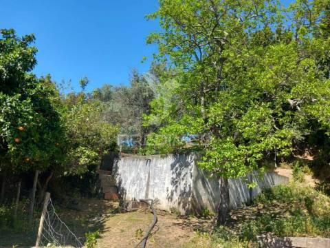 Quinta t2 em pardais - vila viçosa