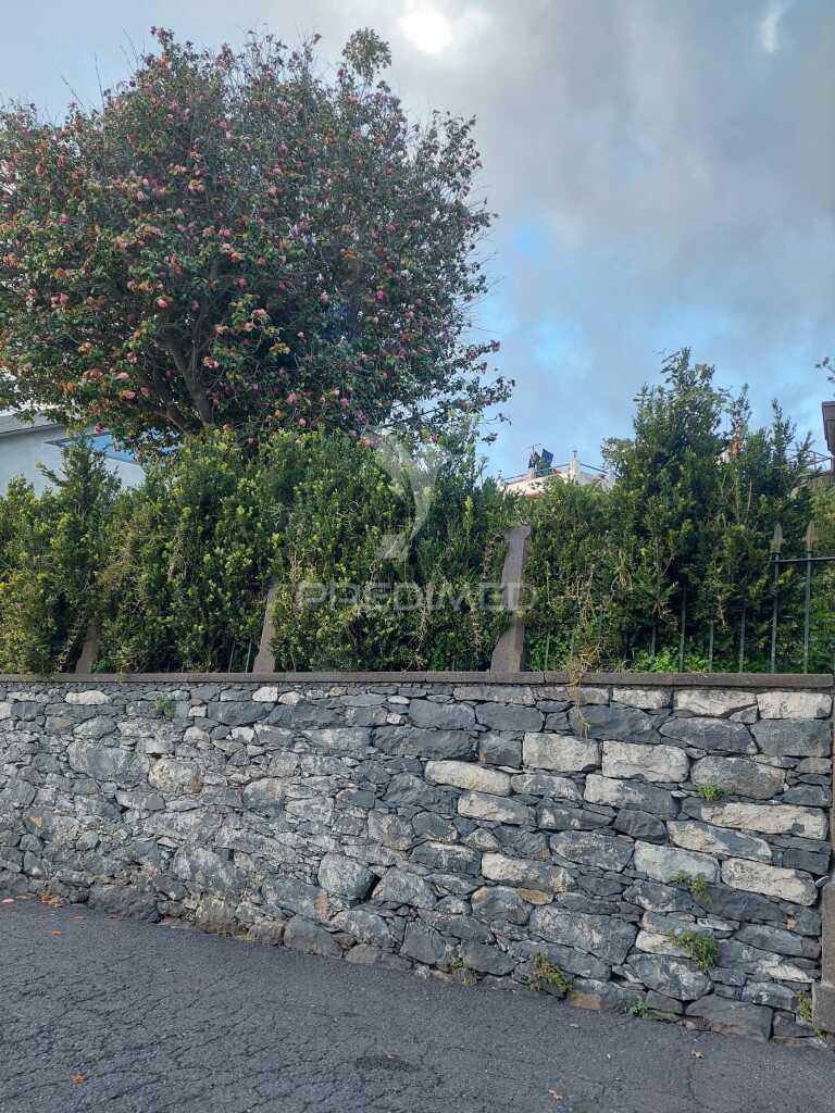 Ilha da madeira -  terreno com casa tradicional  /plot with a traditional house