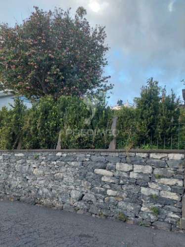 Ilha da madeira -  terreno com casa tradicional  /plot with a traditional house