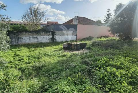 Lote de terreno urbano em vila moreira, alcanena
