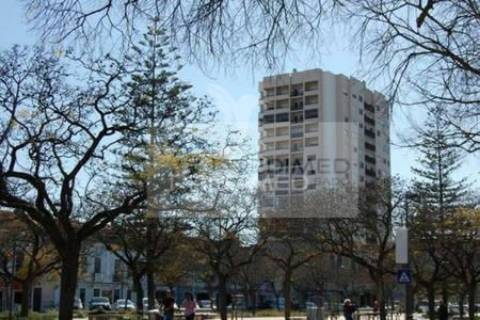 Escritório avenida luisa tody