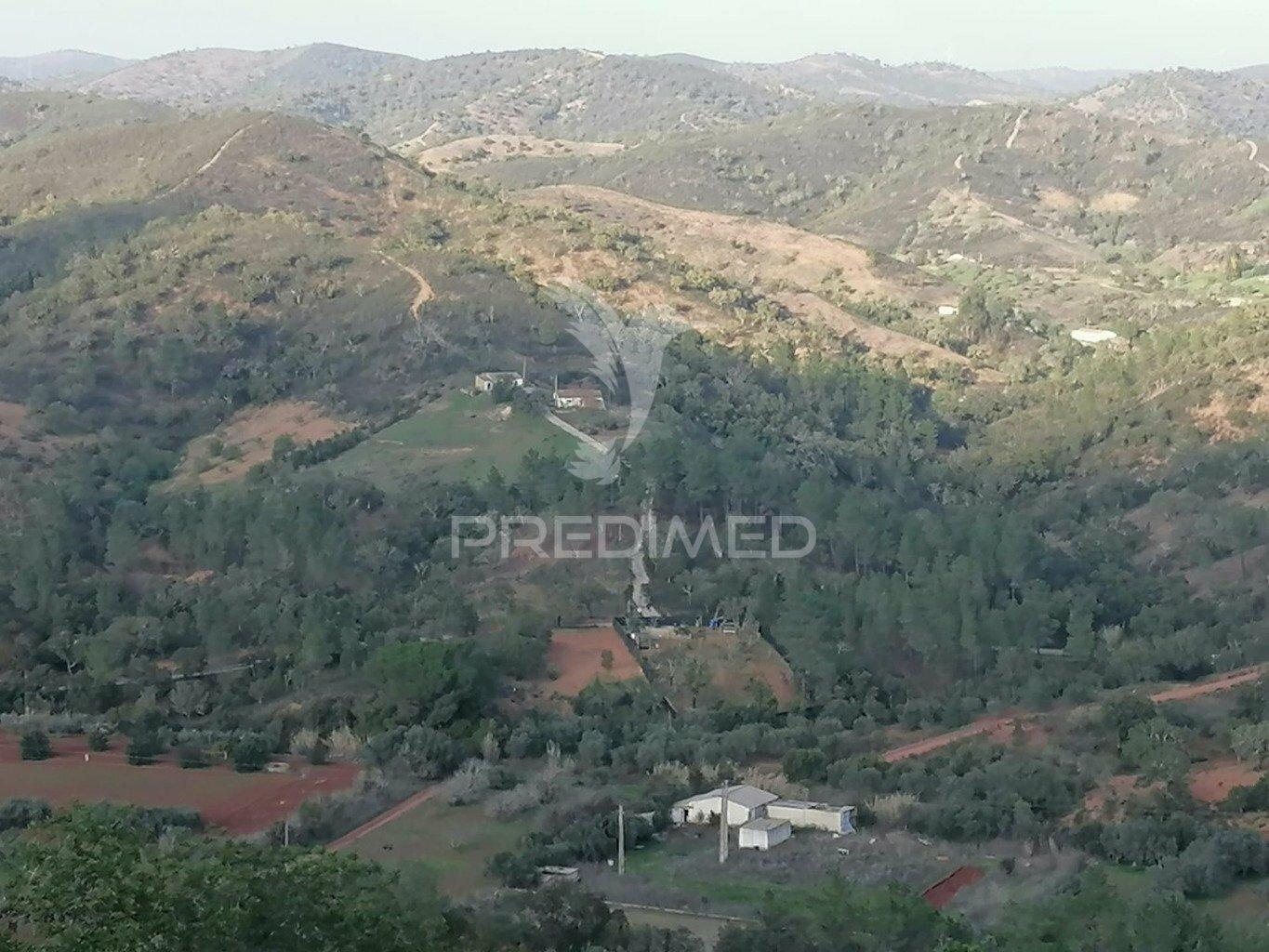 Propriedade situada em alte - terreno e tiny house