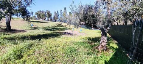 Propriedade situada em alte - terreno e tiny house