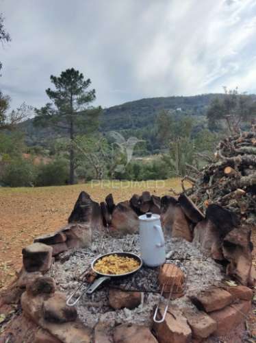 Propriedade situada em alte - terreno e tiny house
